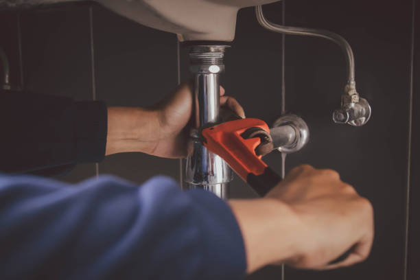 Best Clogged Drain Plumber  in Payson, IL